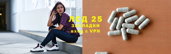 прущие грибы Арсеньев