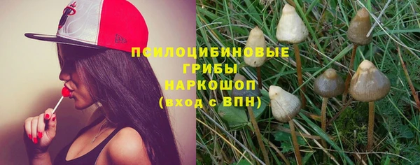 соль ск Балахна