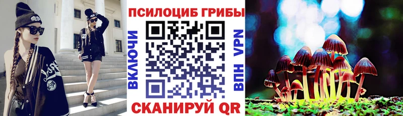 где продают наркотики  Бикин  Галлюциногенные грибы Cubensis 